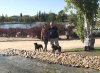 Sheila and Brian with Joe & Bella, enjoying a walk by a lovely park and lake nr Madrid, on their journey from Cardiff to Fuengirola in Málaga, S.Spain.